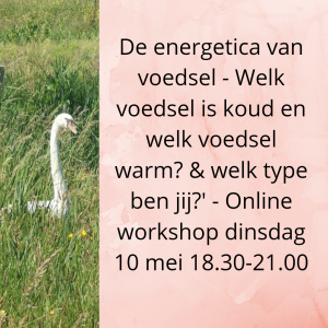 Workshop Chinese voedinsgleer